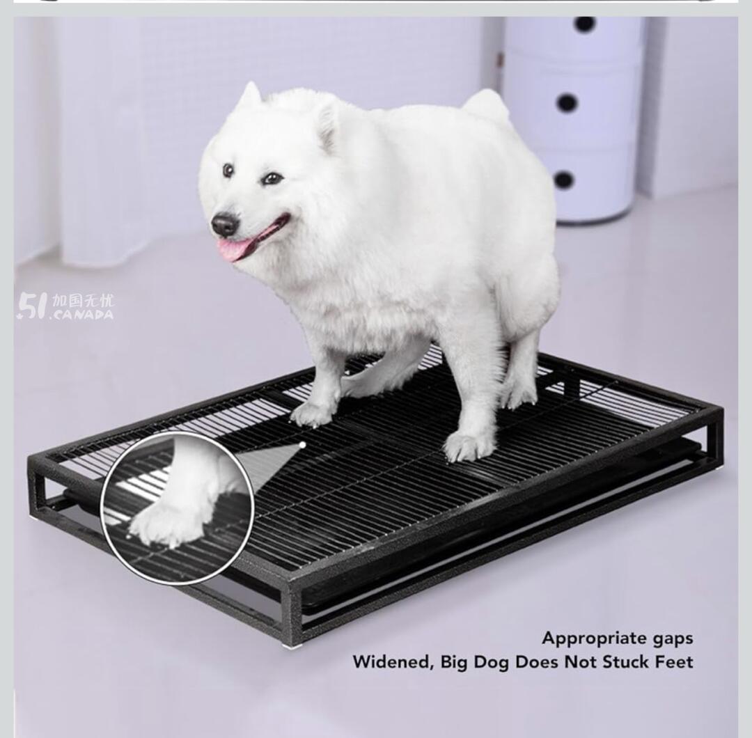 [集市好物]Dog Potty Toliet