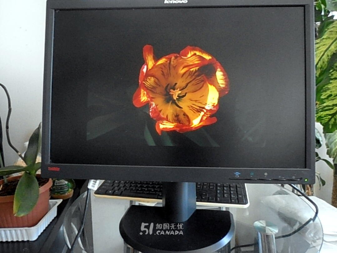 [集市好物]Lenovo 22英寸显示器