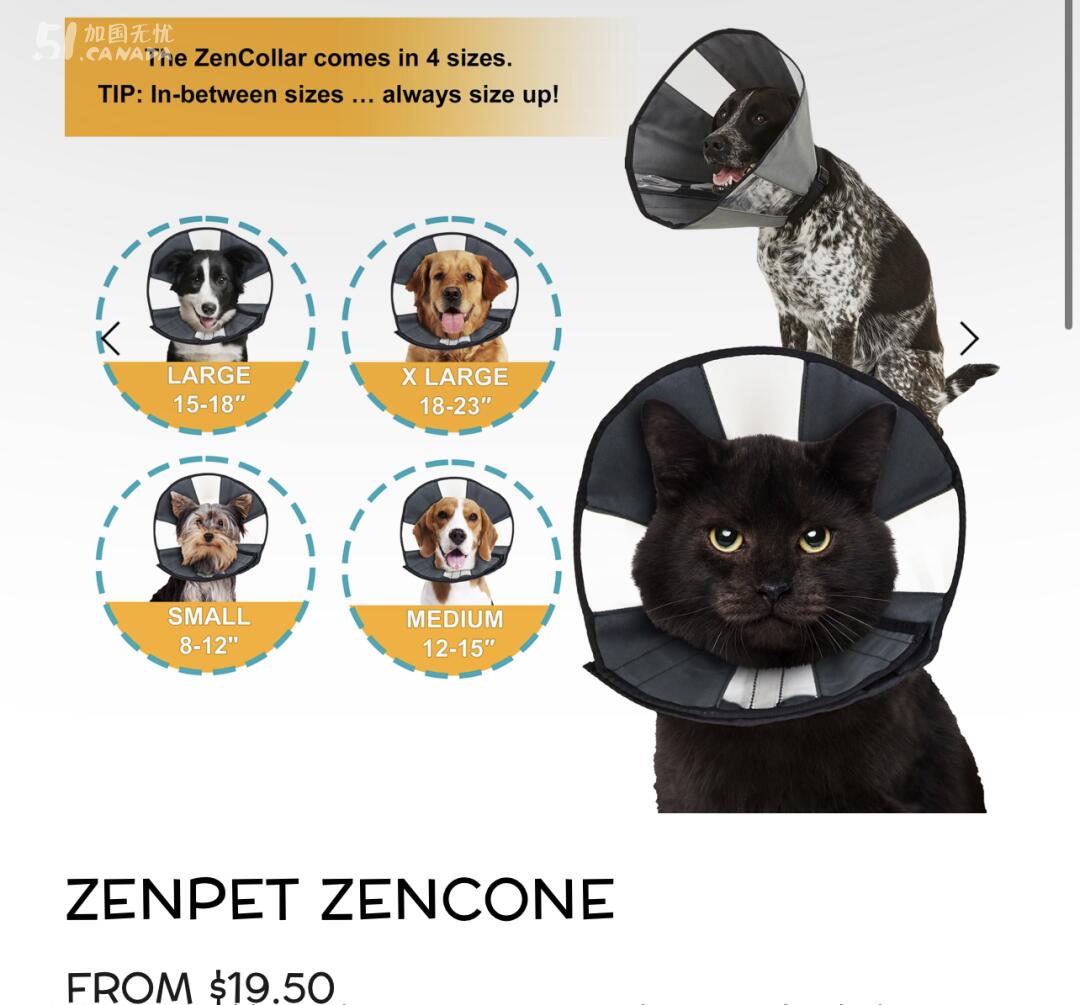 [集市好物]Zenpet 宠物颈部保护圈