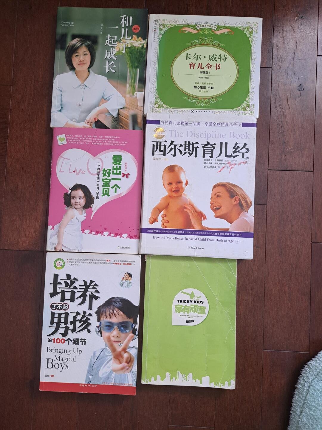 [集市好物]育儿书