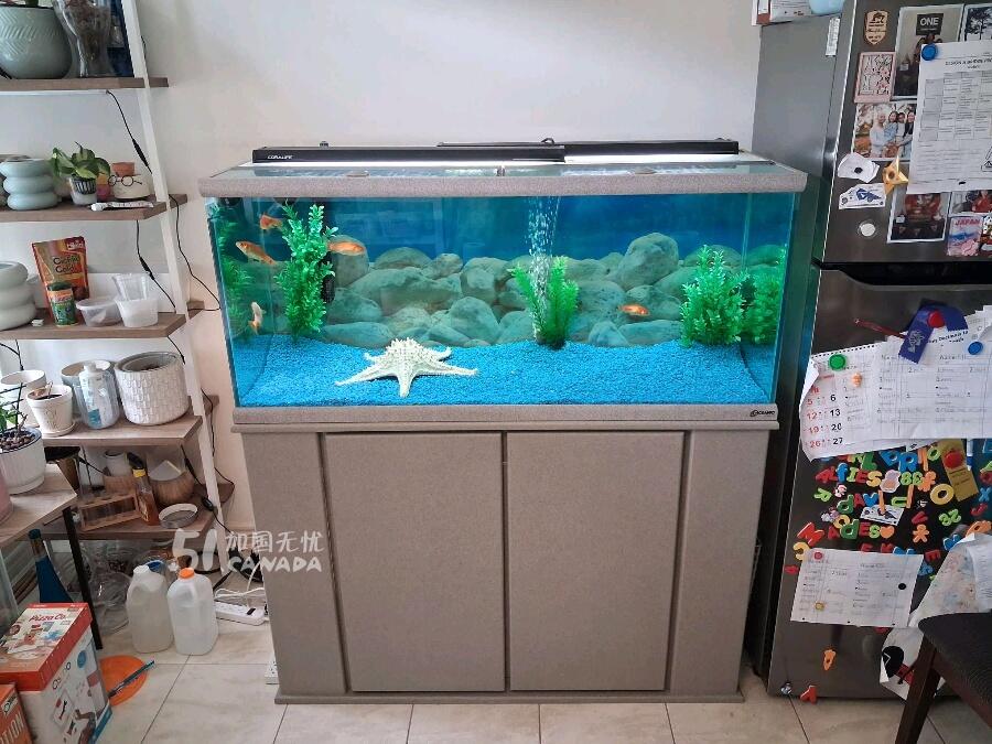 [集市好物]金魚缸
