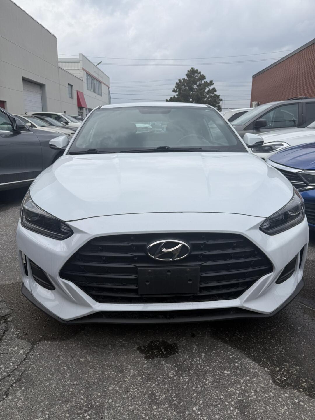[集市好物]现代 veloster