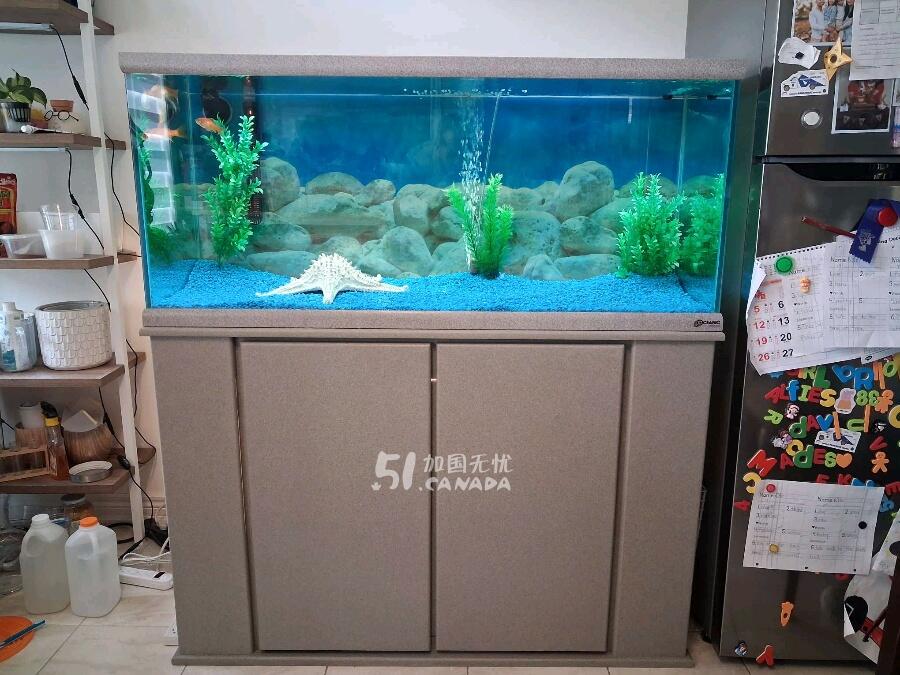 [集市好物]金魚缸