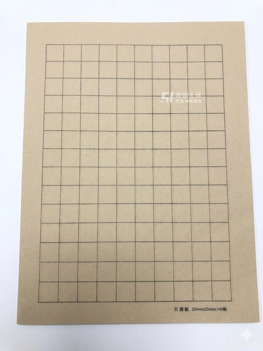 日课书画纸，20mm*20mm*140格，约50张