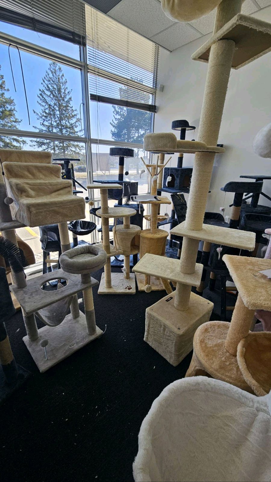 [集市好物]各款猫爬架特价处$39-$149
