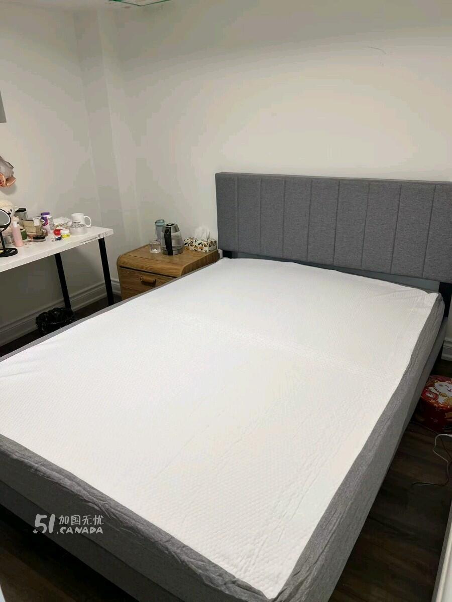 [集市好物]超值捡漏QueenSize 1.5米床架只要$99