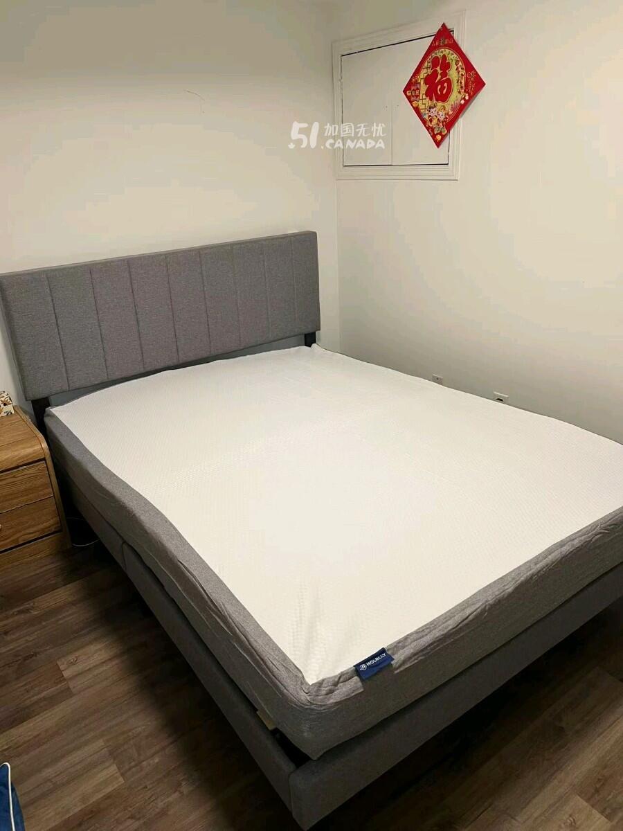 [集市好物]超值捡漏QueenSize 1.5米床架只要$99
