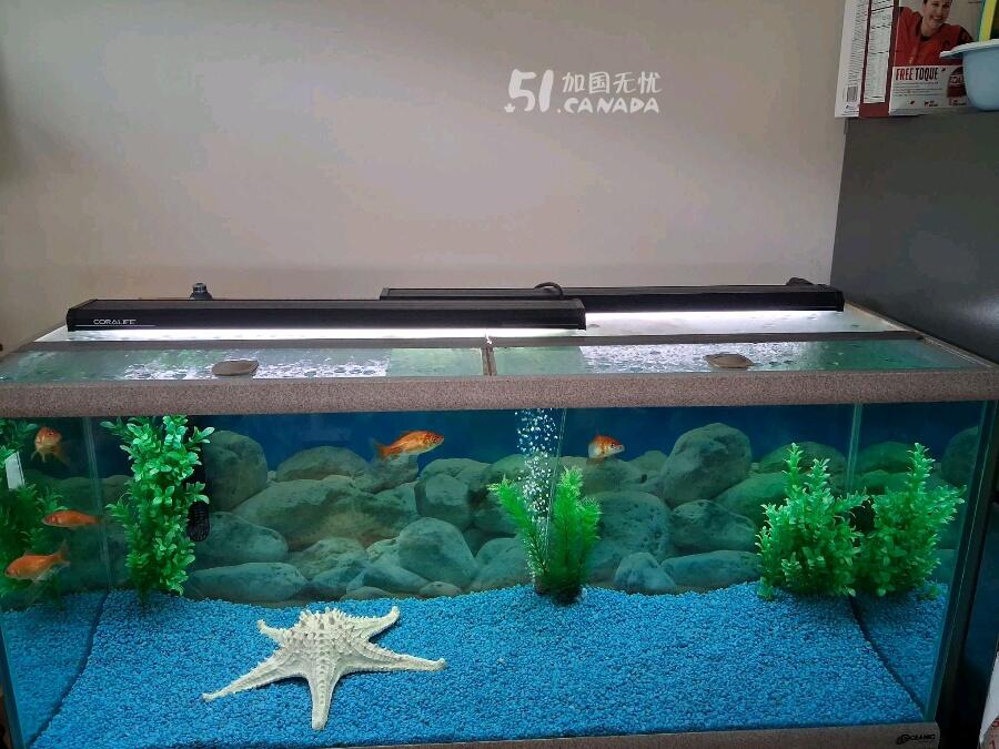 [集市好物]金魚缸