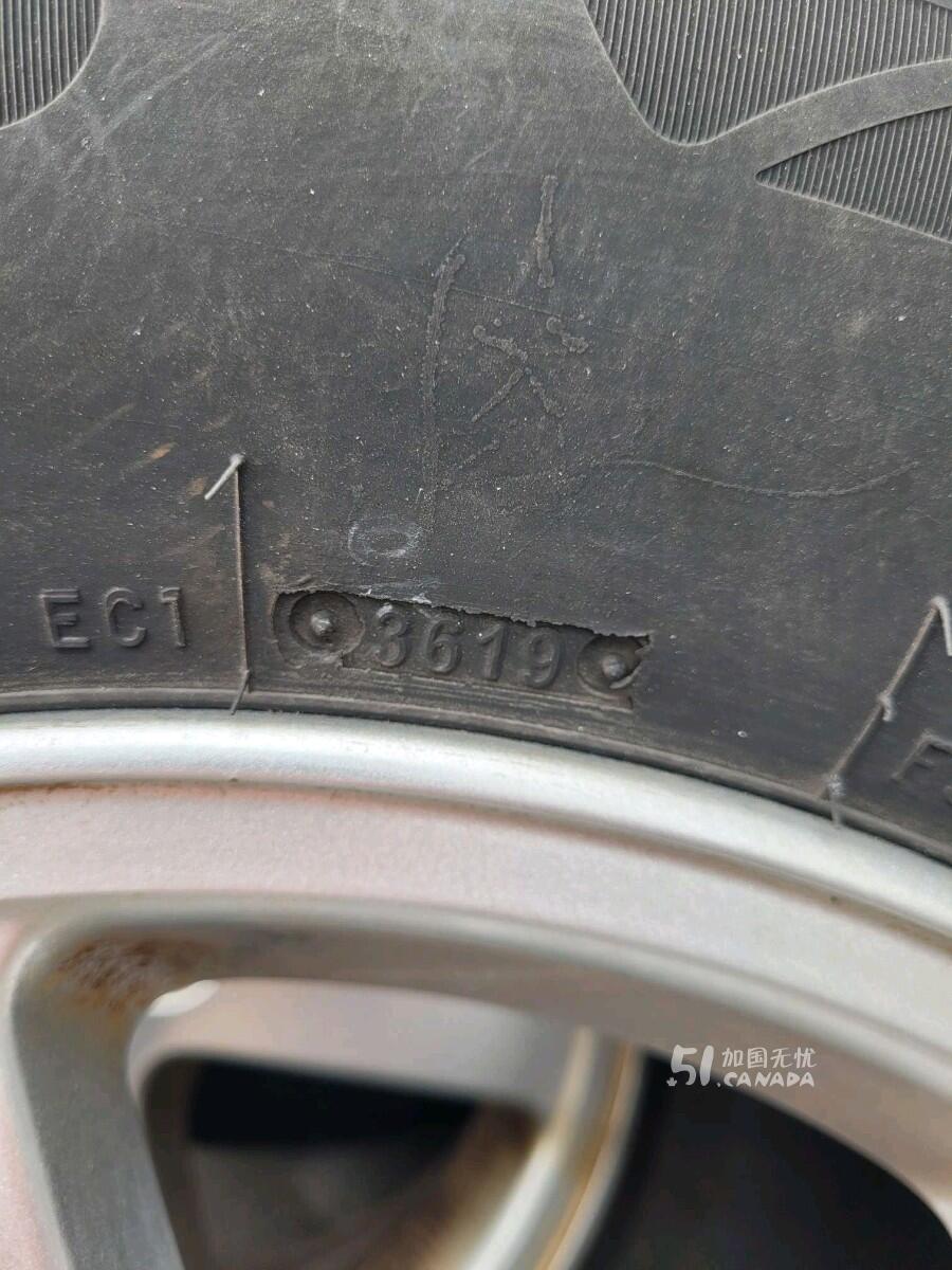 [集市好物]四季胎和轮骨