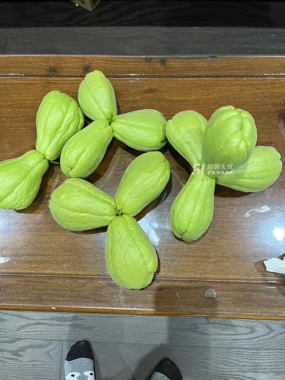 [集市好物]合掌瓜