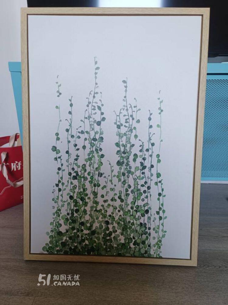 [集市好物]全新装饰画