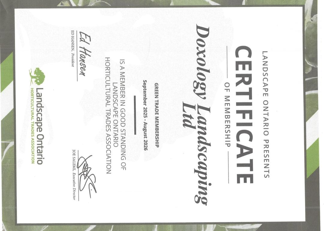 license-image