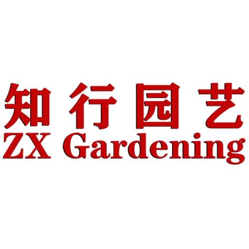 ＊うえきや＊ ウェビックガレージセール | ◇ Ninja ZX-14R ZZR1400 (ZXT40F) 純正