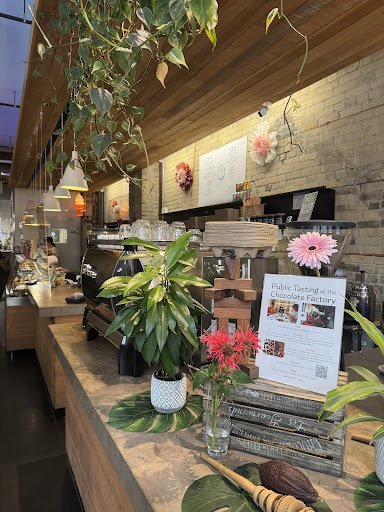 SOMA Chocolate