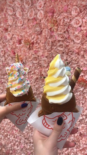 Taiyaki NYC