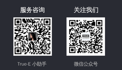 Toronto SEO True-E Marketing QR Code